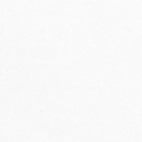 Brussels Washer - White - $14.25/ Yard