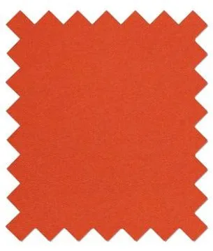 Burnt Orange Wedding Swatch