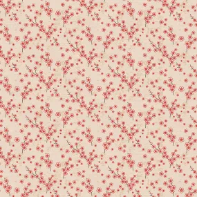 Cherry Blossom - Cream