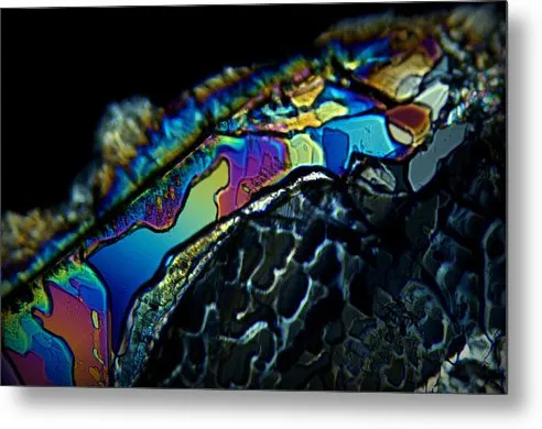Motley - Metal Print