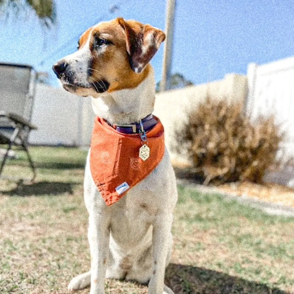 Sunny Bandana